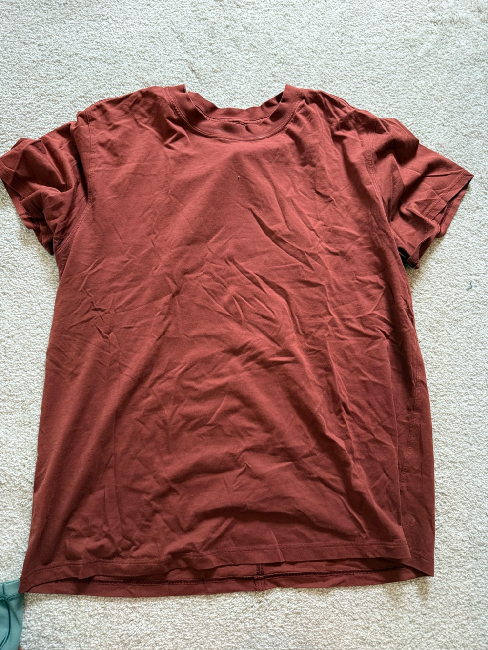 Men's Solid Brick Red Crew Neck Shirt